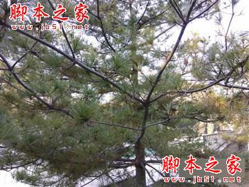 升级不止一点点 红米Note3全网通版体验