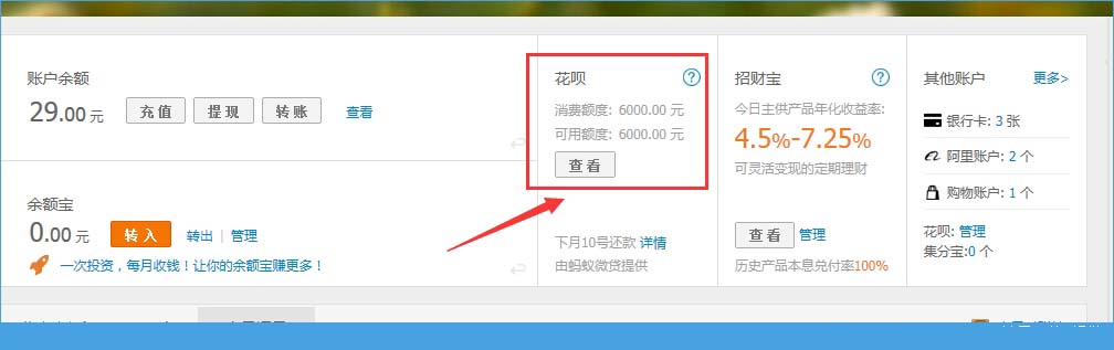 蚂蚁微贷怎么查看额度？蚂蚁微贷查看额度详情[多图]图片1
