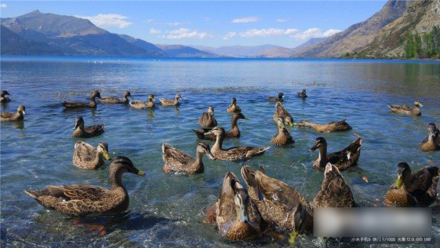 小米5怎么样 小米5发布会图文评测