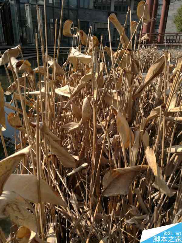 红米3/红米Note3全网通深度视频评测