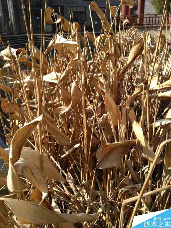 红米3/红米Note3全网通深度视频评测