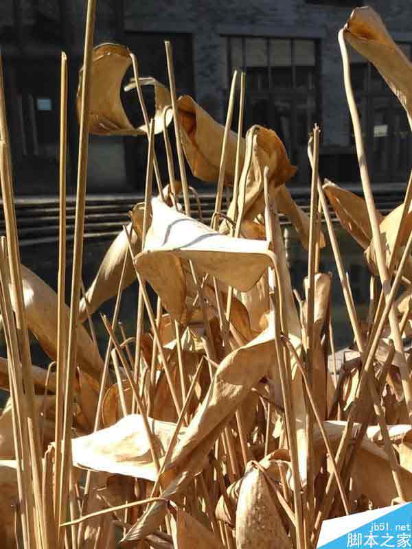 红米3/红米Note3全网通深度视频评测