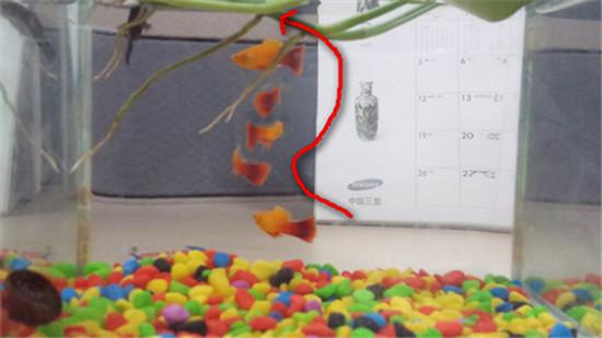 三星手机轨迹拍照怎么用 galaxys4轨迹拍照教程