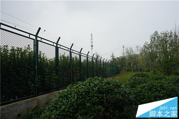 独家：iPhone 6s发布前的富士康