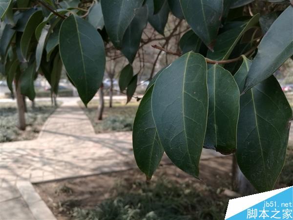 小米5与Mate8拍照谁更好? 对比一下就知道了