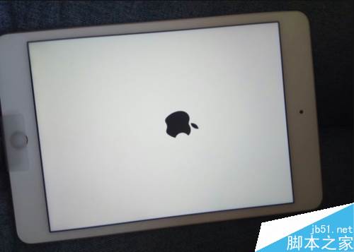 iPad mini怎么查激活时间?iPad mini激活时间查询教程