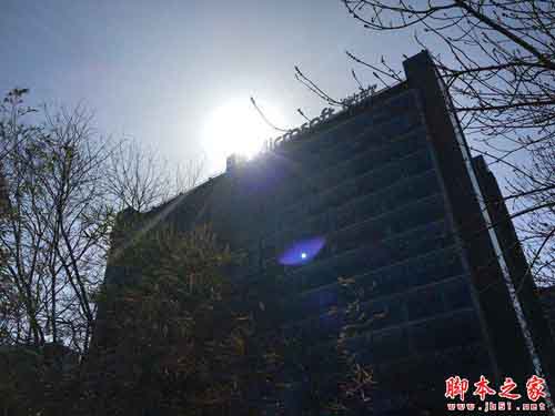 把握每个像素 三星S7/iPhone6sP拍照对比 