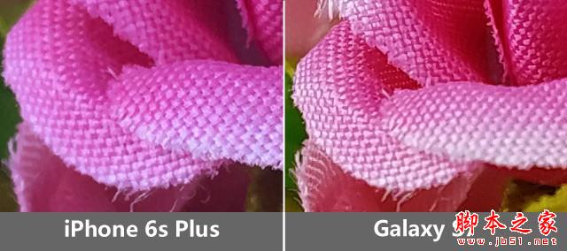 把握每个像素 三星S7/iPhone6sP拍照对比 
