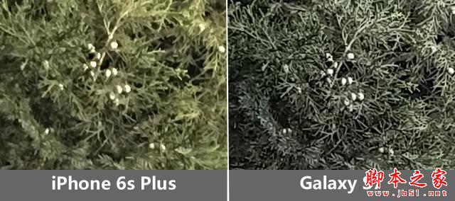 把握每个像素 三星S7/iPhone6sP拍照对比 