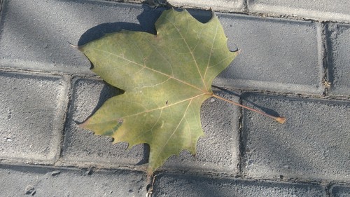 千元内旗舰机对决 大神F2对比红米Note 