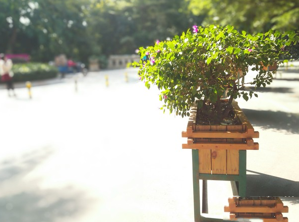 荣耀6 plus拍照样张 荣耀6 plus拍照图片