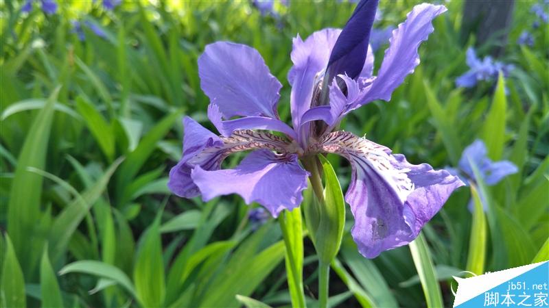 nubia Z11 mini首发评测：双2.5D手感绝赞！