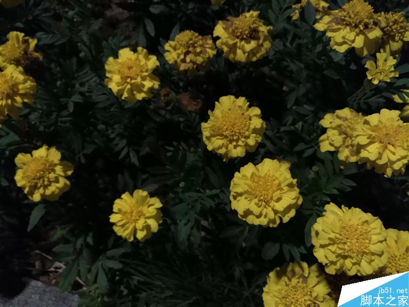 可能是最好的小屏!nubia Z11 mini深体验