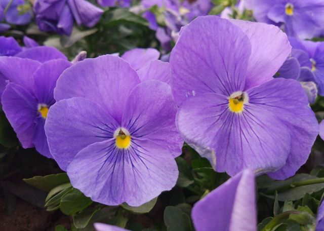 乐Max 2值得买吗 乐Max 2评测