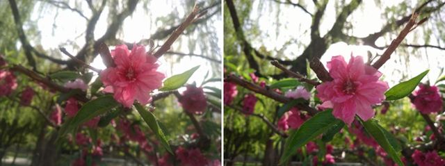 乐Max 2值得买吗 乐Max 2评测