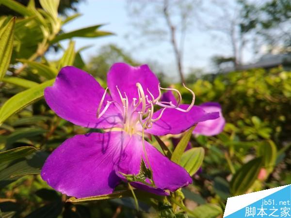 首发16nm麒麟650:899元荣耀畅玩5C评测