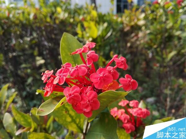 首发16nm麒麟650:899元荣耀畅玩5C评测