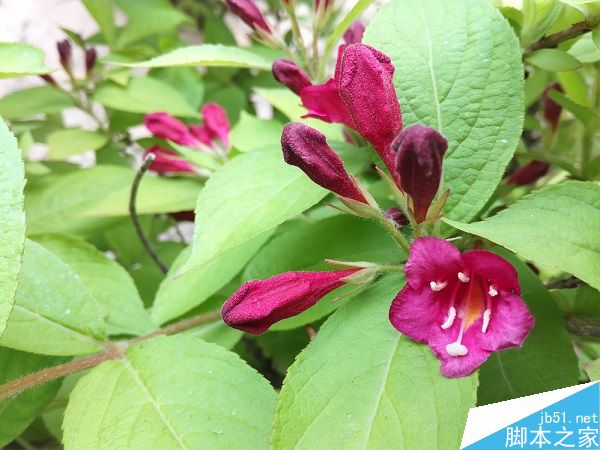 荣耀5C和乐视2系统与拍照对比评测