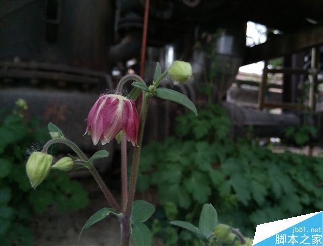 荣耀5C和乐视2系统与拍照对比评测