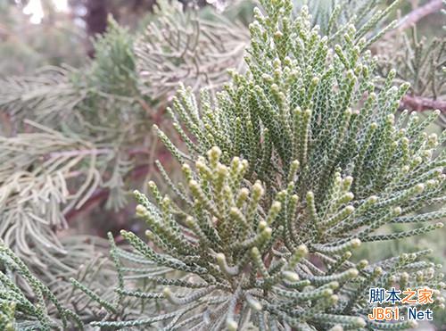 100元差别有多大 魅蓝note对比红米Note