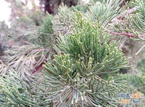 100元差别有多大 魅蓝note对比红米Note