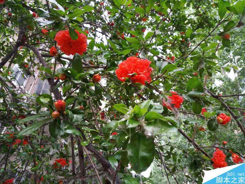 魅族PRO 6评测：最便宜3D Press压感屏