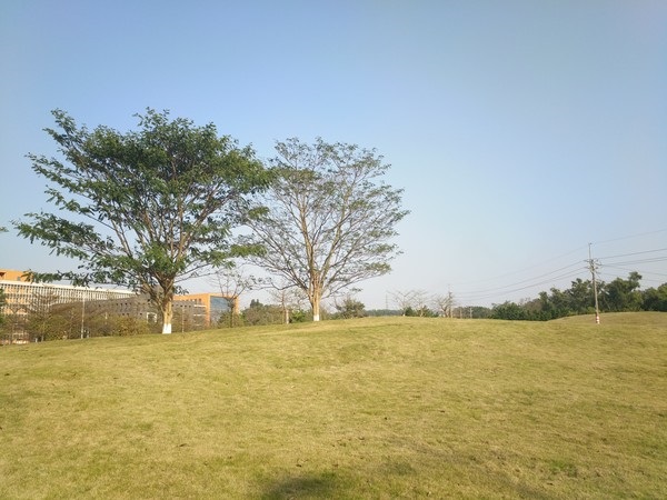 vivo Xplay5和OPPO R9系统与拍照对比