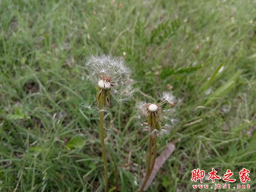 乐视2和魅蓝note3全面详细对比评测