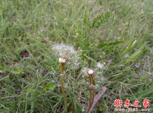 乐视2和魅蓝note3全面详细对比评测