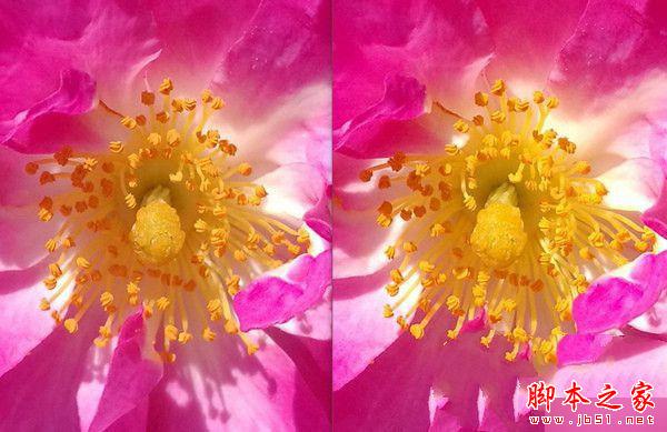 华为荣耀V8和P9双镜头拍照对比评测