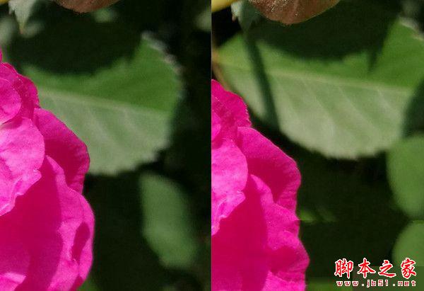 华为荣耀V8和P9双镜头拍照对比评测