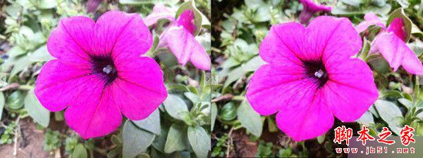 华为荣耀V8和P9双镜头拍照对比评测