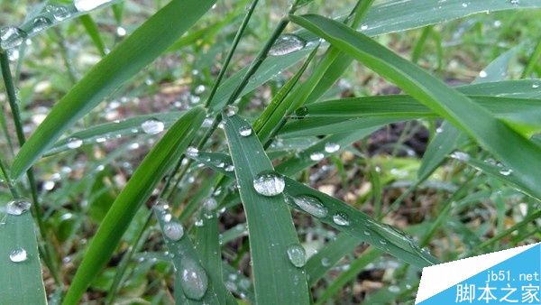 1799元！联想5寸旗舰ZUK Z2评测：骁龙820加持