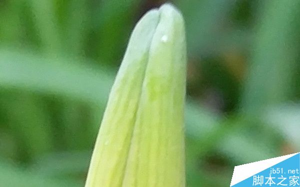 1799元！联想5寸旗舰ZUK Z2评测：骁龙820加持