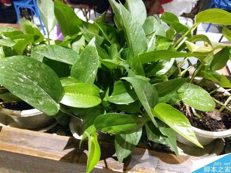 2199元真诚中国特供!三星Galaxy C5深度评测