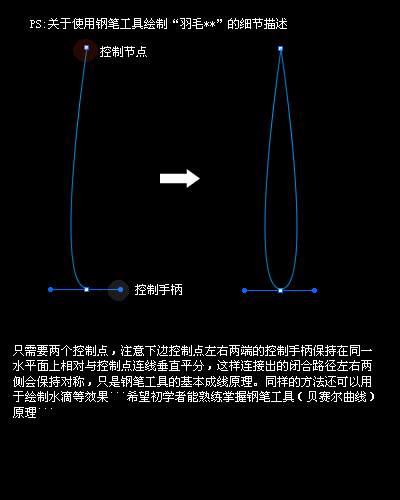 Fireworks教程：简单制作羽毛扇