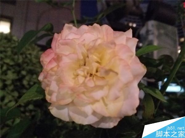 白天样张表现_联想ZUK Z2第21张图