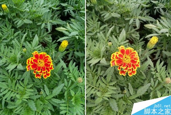 魅蓝3S和魅蓝3评测对比 究竟有什么区别?