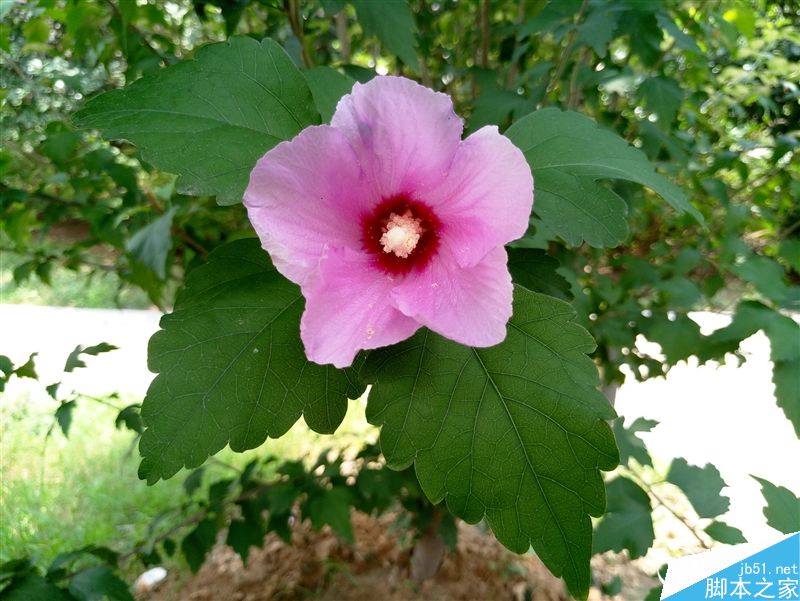 1999元新梦想!魅族MX6评测:有点纠结