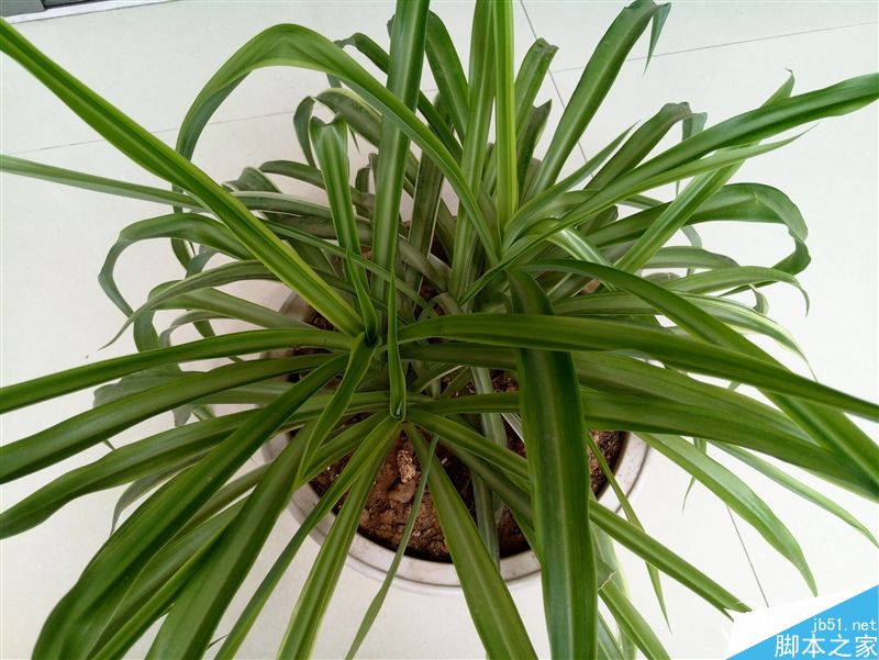 1999元新梦想!魅族MX6评测:有点纠结