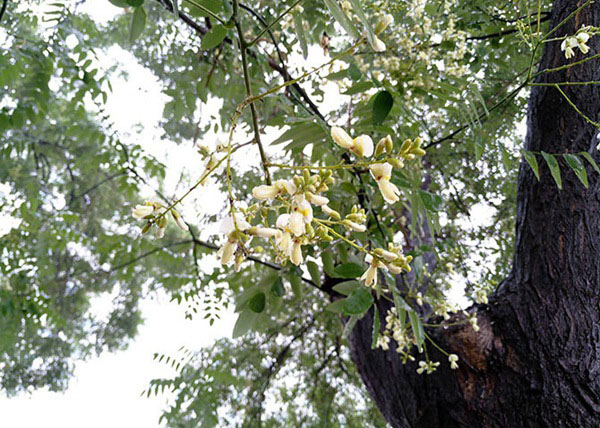 魅族MX6值得买吗?魅族MX6深度评测