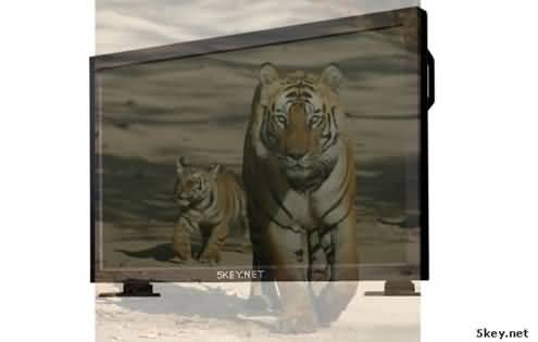 Fireworks制作让老虎从电视里出来特效