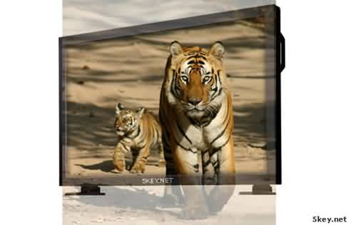 Fireworks制作让老虎从电视里出来特效