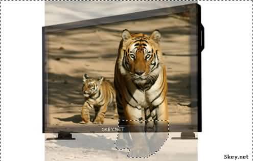 Fireworks制作让老虎从电视里出来特效