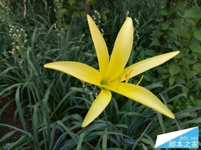 安卓平板的最佳替代品 荣耀NOTE 8评测 