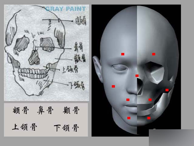 MAYA人物建模教程 人物造型 脚本之家 MAYA建模教程