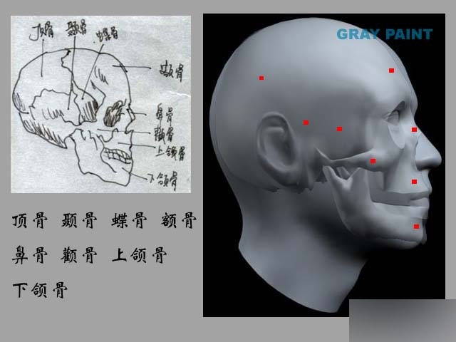 MAYA人物建模教程 人物造型 脚本之家 MAYA建模教程