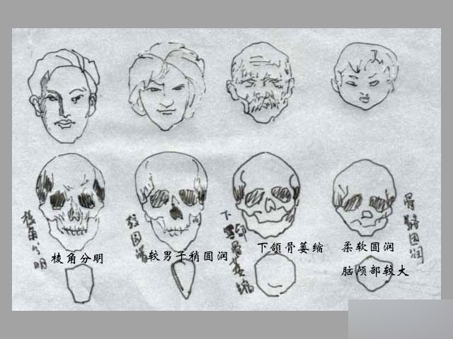 MAYA人物建模教程 人物造型 脚本之家 MAYA建模教程
