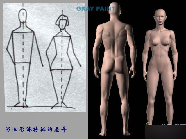 MAYA人物建模教程 人物造型 脚本之家 MAYA建模教程