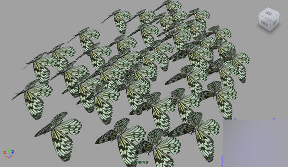 Maya2008制作一只逼真的蝴蝶 脚本之家